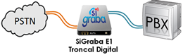 SiGraba para Troncal Digital E1